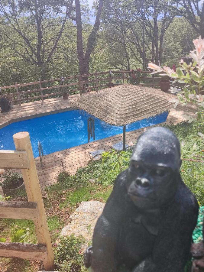 Bed and Breakfast La Lyalis Эгин Экстерьер фото